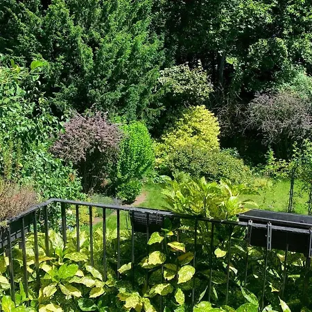 Charming In Near Schlosspark With Terrace Apartment *